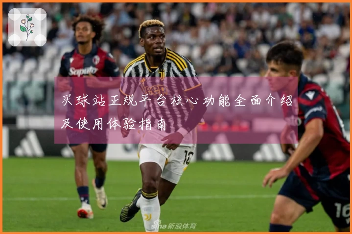 买球站正规平台核心功能全面介绍及使用体验指南