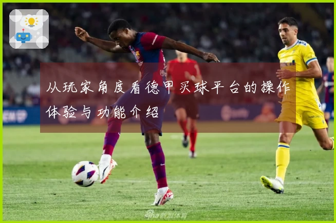 从玩家角度看德甲买球平台的操作体验与功能介绍